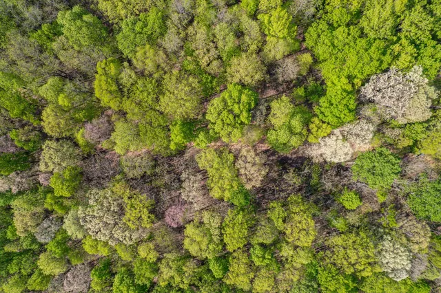 a backyard of a house with lots of plants