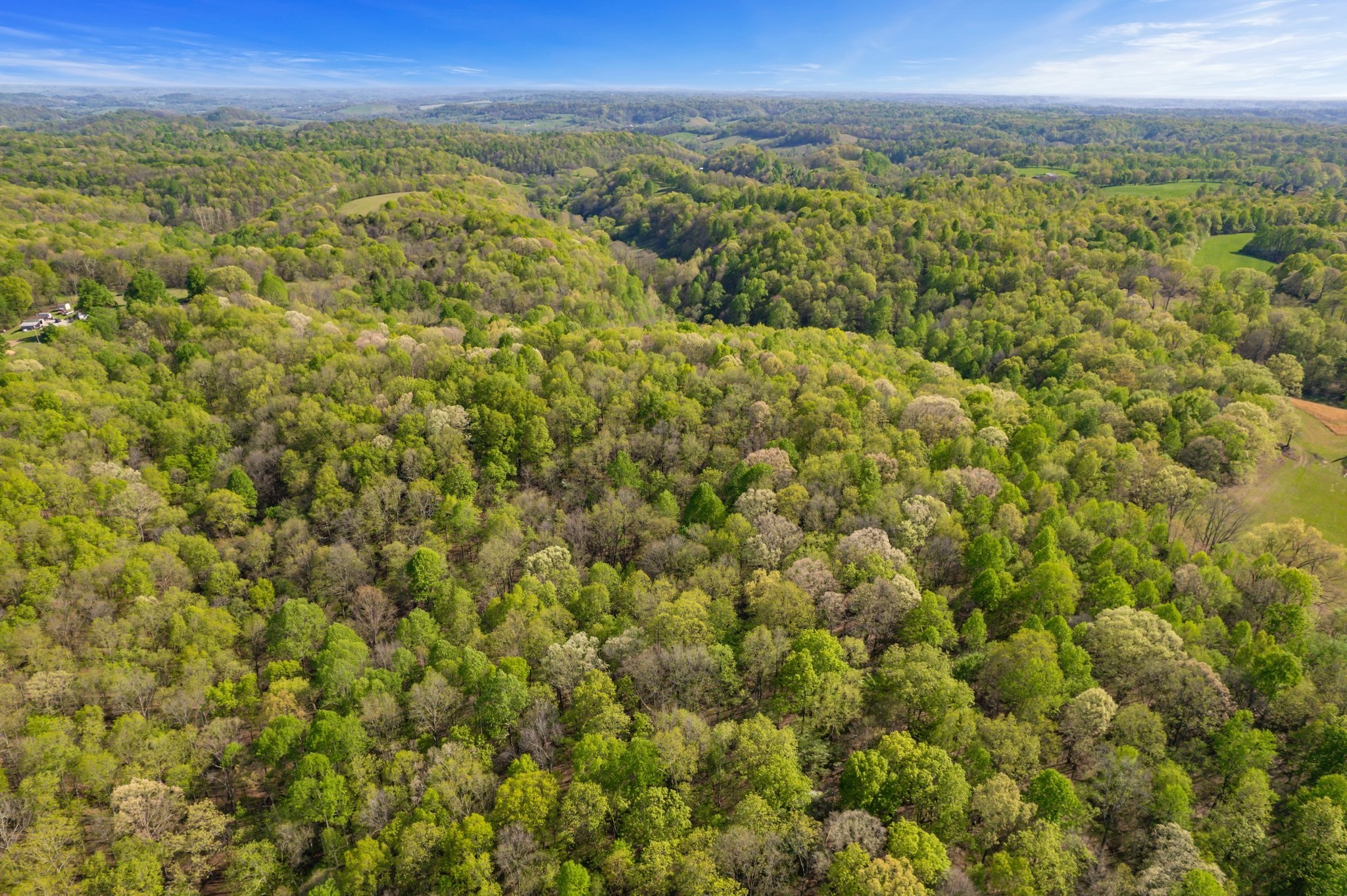 1555 Dog Hollow Road Lynnville, TN 38472 - Photo 7 of 23