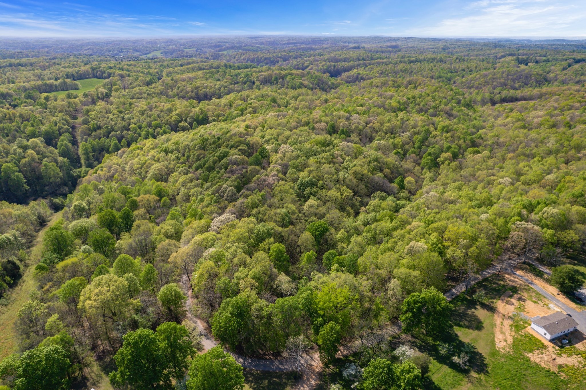 1555 Dog Hollow Road Lynnville, TN 38472 - Photo 8 of 23