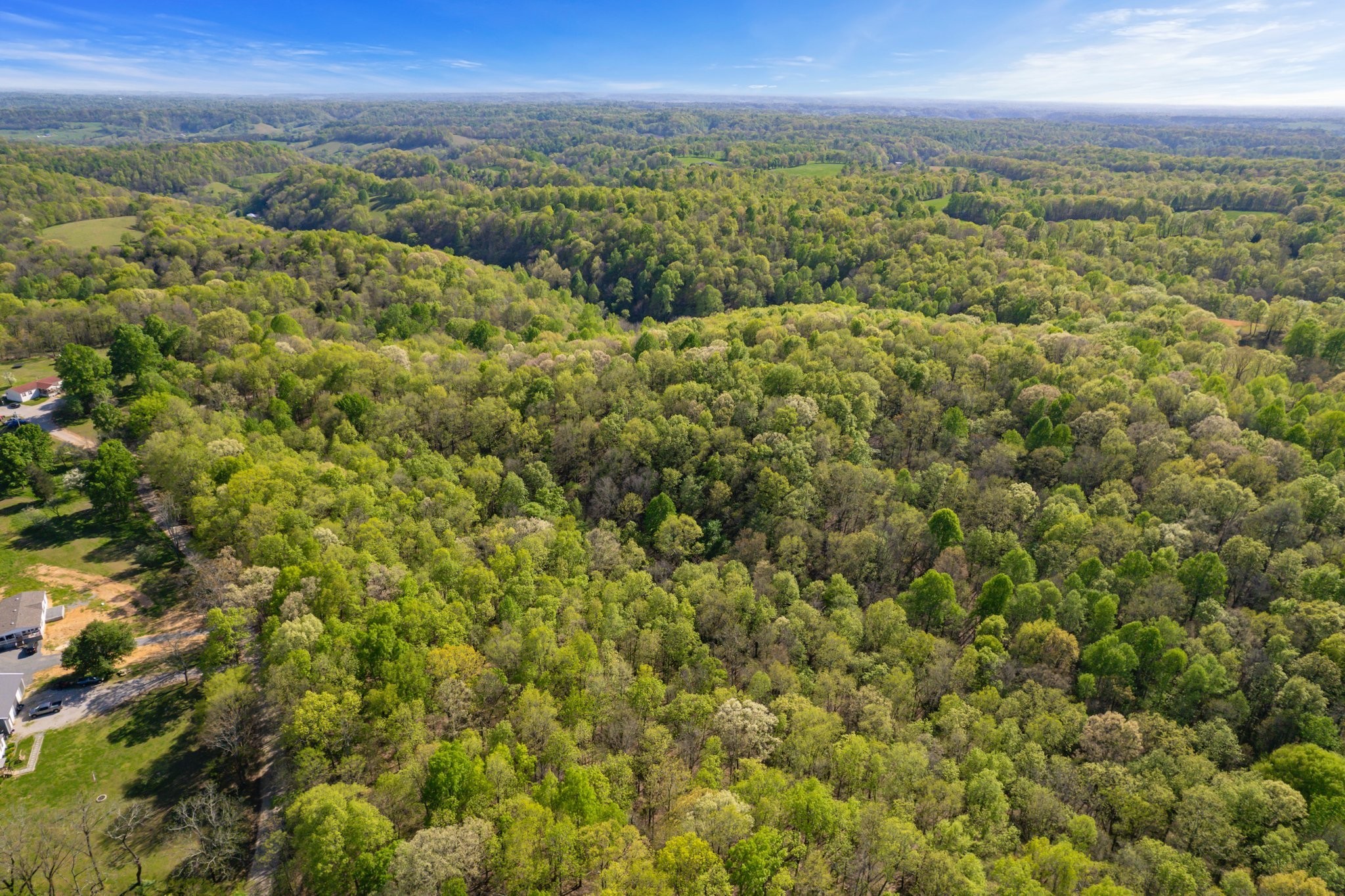 1555 Dog Hollow Road Lynnville, TN 38472 - Photo 9 of 23