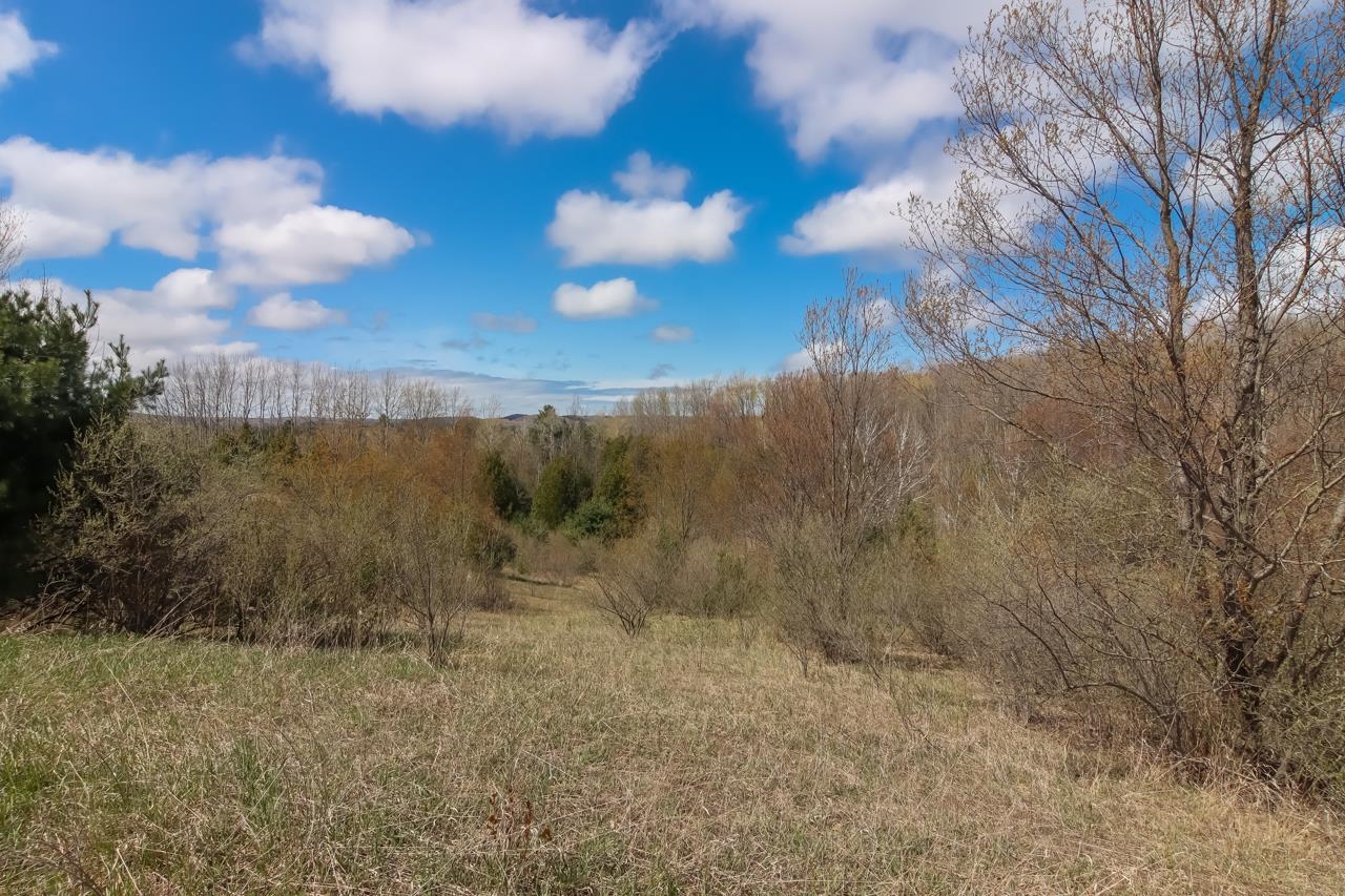 6071 East Gallivan Road Cedar, MI 49621 - Photo 30 of 32 1910525-29.JPG
