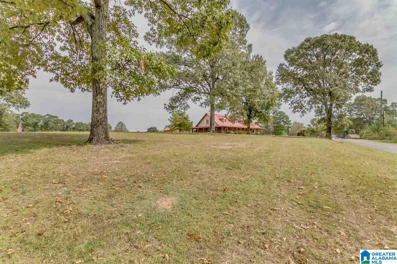15534 Walden Pond Road Brookwood, AL 35444 - Photo 4 of 46