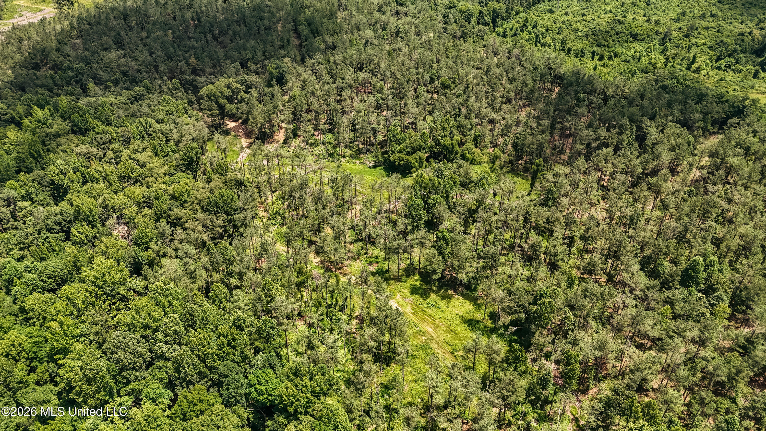 828 Little Egypt Road Ashland, MS 38603 - Photo 70 of 101 DJI_20260630120315_0336_D