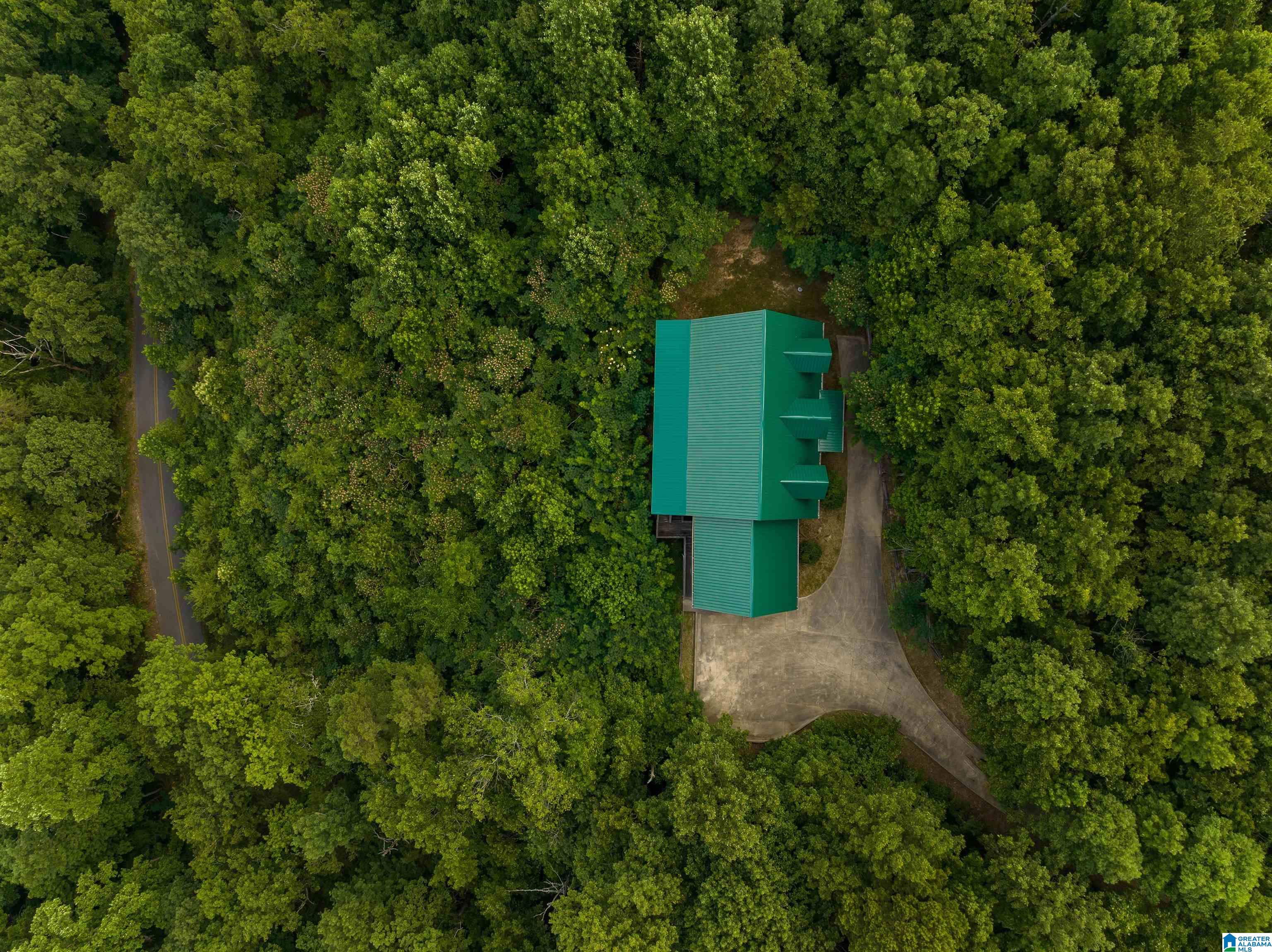 5924 Co Highway 24 Springville, AL 35146 - Photo 42 of 50
