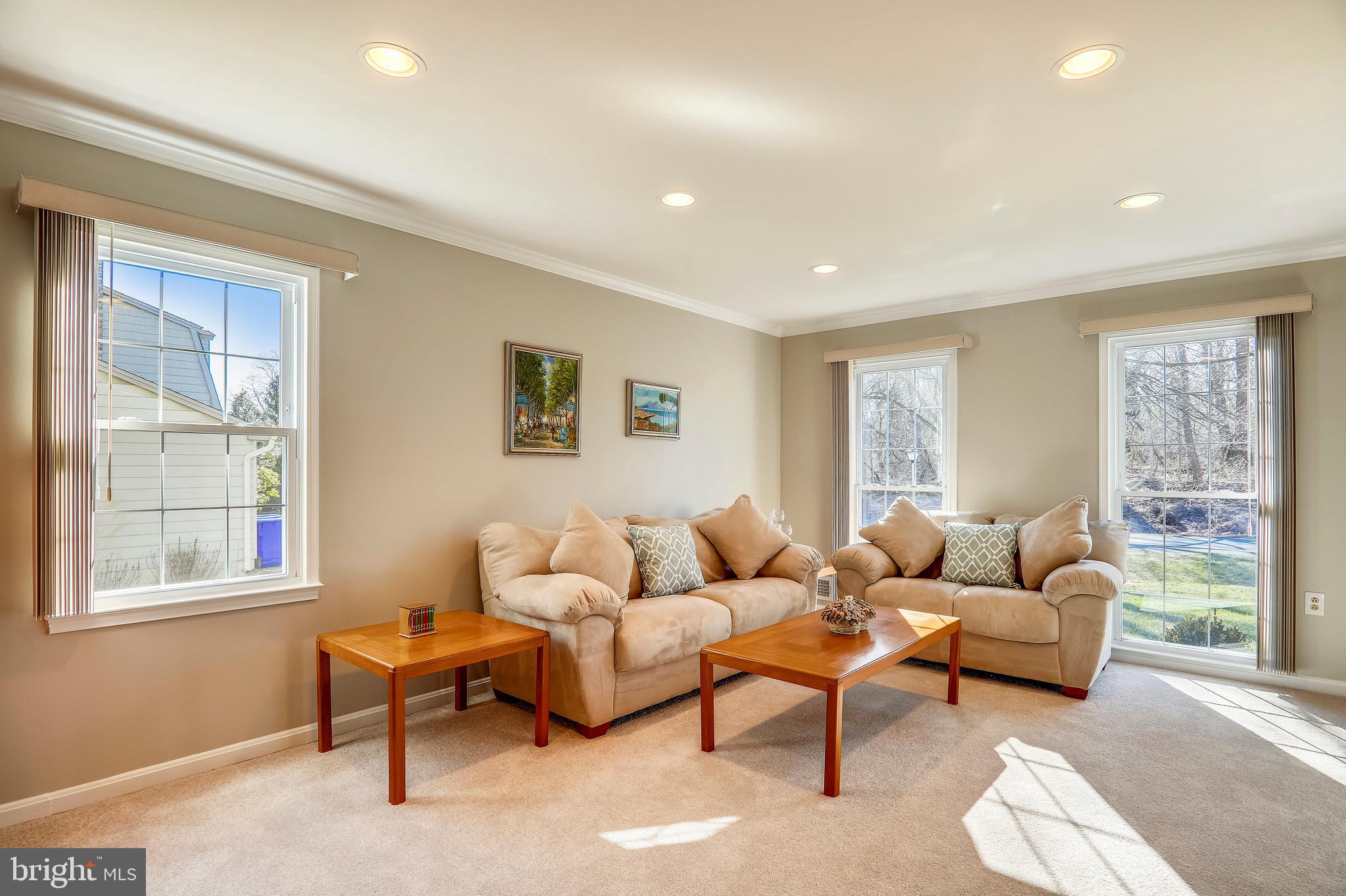 1613 Chester Mill Road Silver Spring, MD 20906 - Photo 6 of 38 Living room w new carpeting