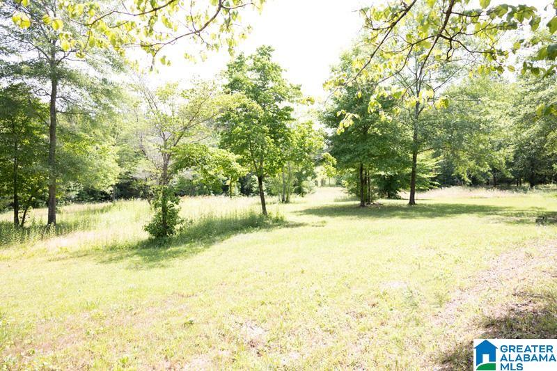 1081 County Road 684 Roanoke, AL 36274 - Photo 23 of 26