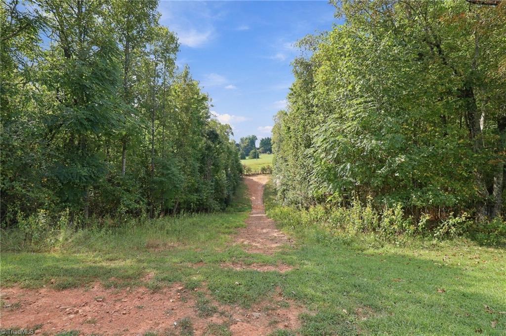 1544 Jessup Road Westfield, NC 27053 - Photo 49 of 50 Dirt bike Trails