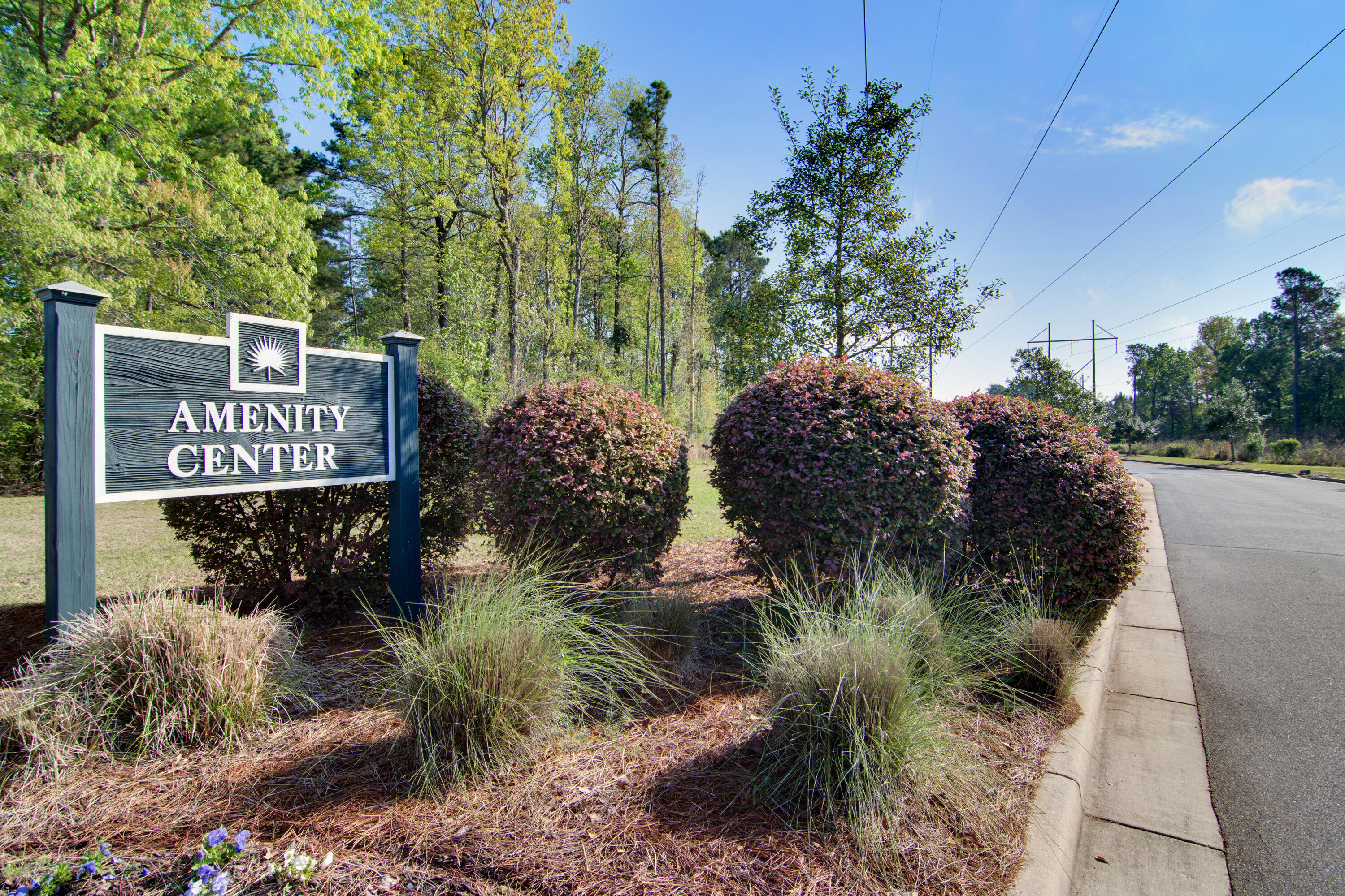 156 Woodward Road Goose Creek, SC 29445 - Photo 34 of 43 Liberty Hall (1)