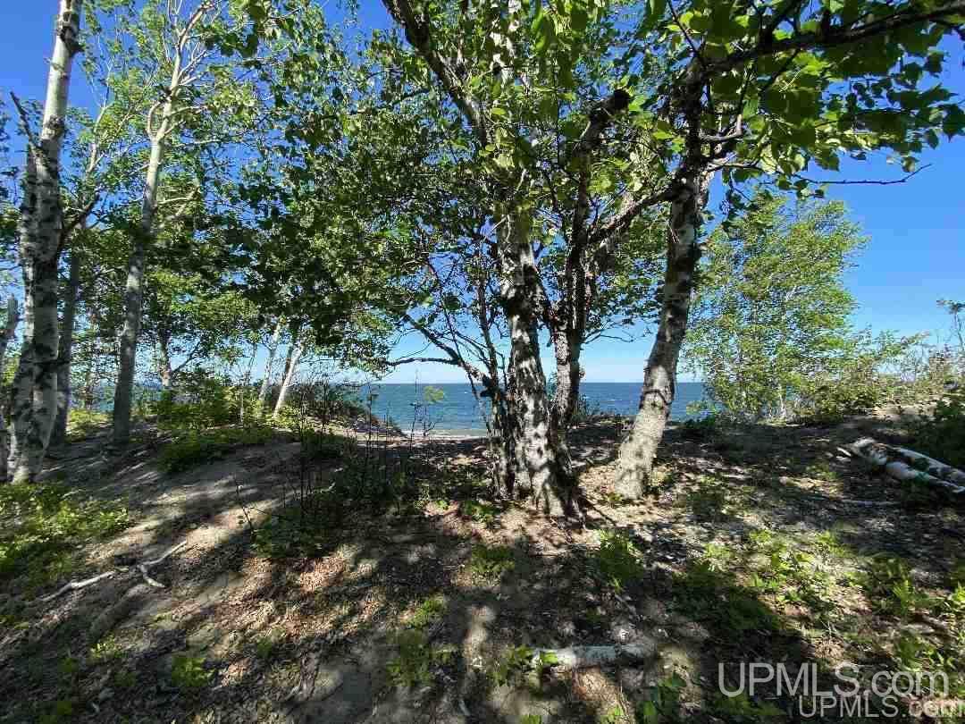Tbd Sedar Bay Road Calumet, MI 49913 - Photo 6 of 16