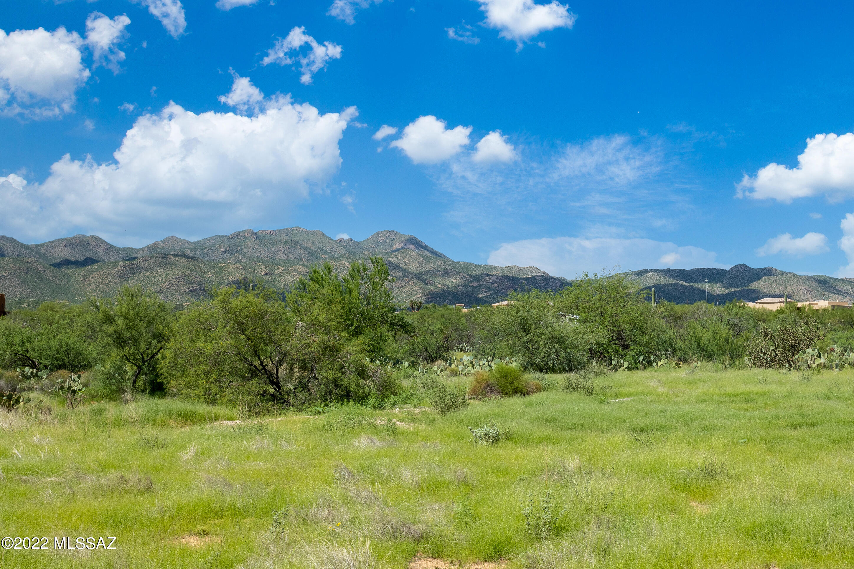 2150 West Moore Road Tucson, AZ 85755 - Photo 44 of 49 Gallery Image 44