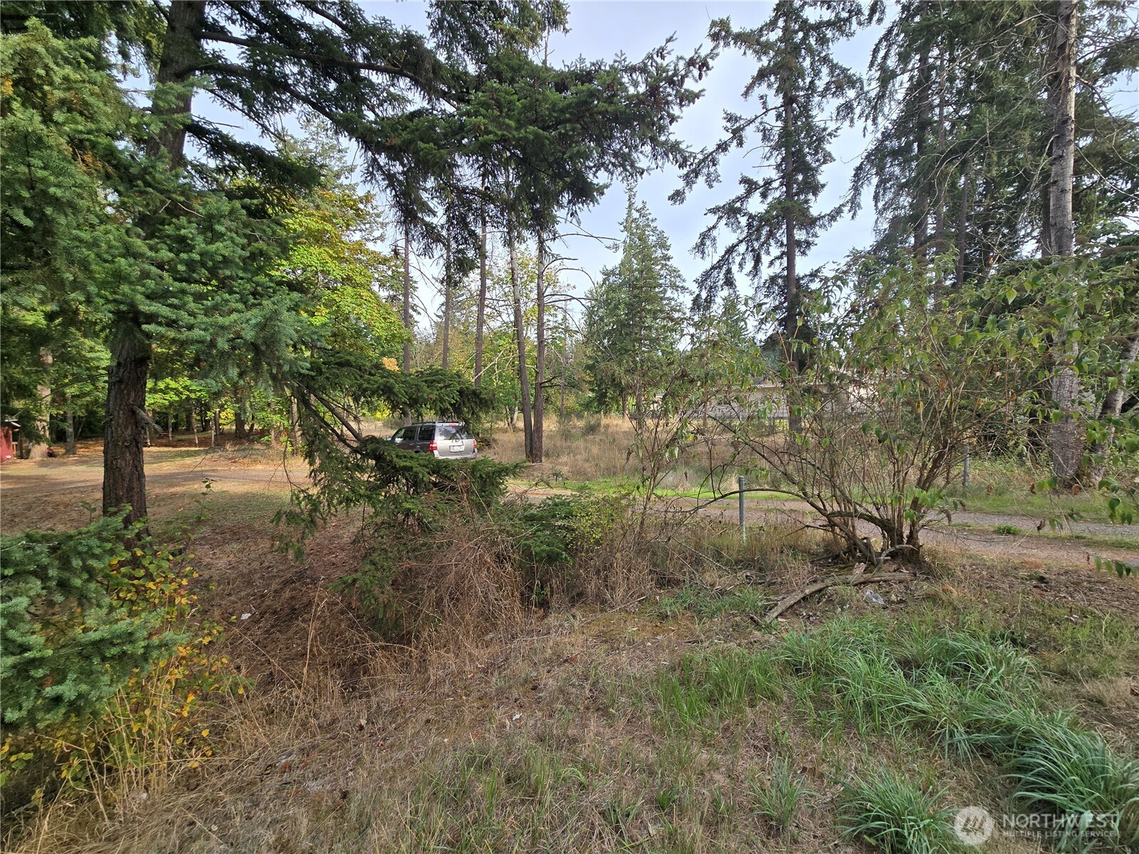 2-xxx R Street Southeast Auburn, WA 98002 - Photo 18 of 21 a view of a forest with trees