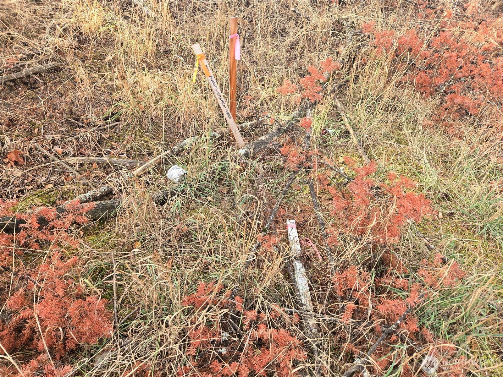 2-xxx R Street Southeast Auburn, WA 98002 - Photo 19 of 21