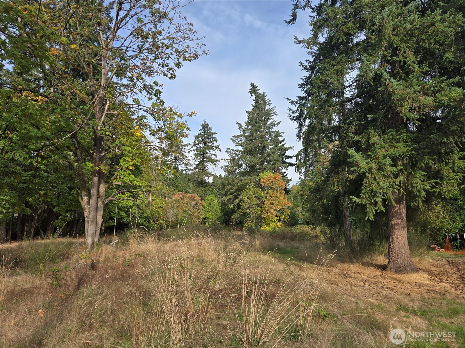 2-xxx R Street Southeast Auburn, WA 98002 - Photo 4 of 21 a view of lake with a yard