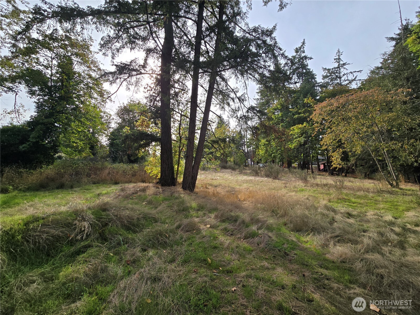 2-xxx R Street Southeast Auburn, WA 98002 - Photo 5 of 21 a view of outdoor space and yard