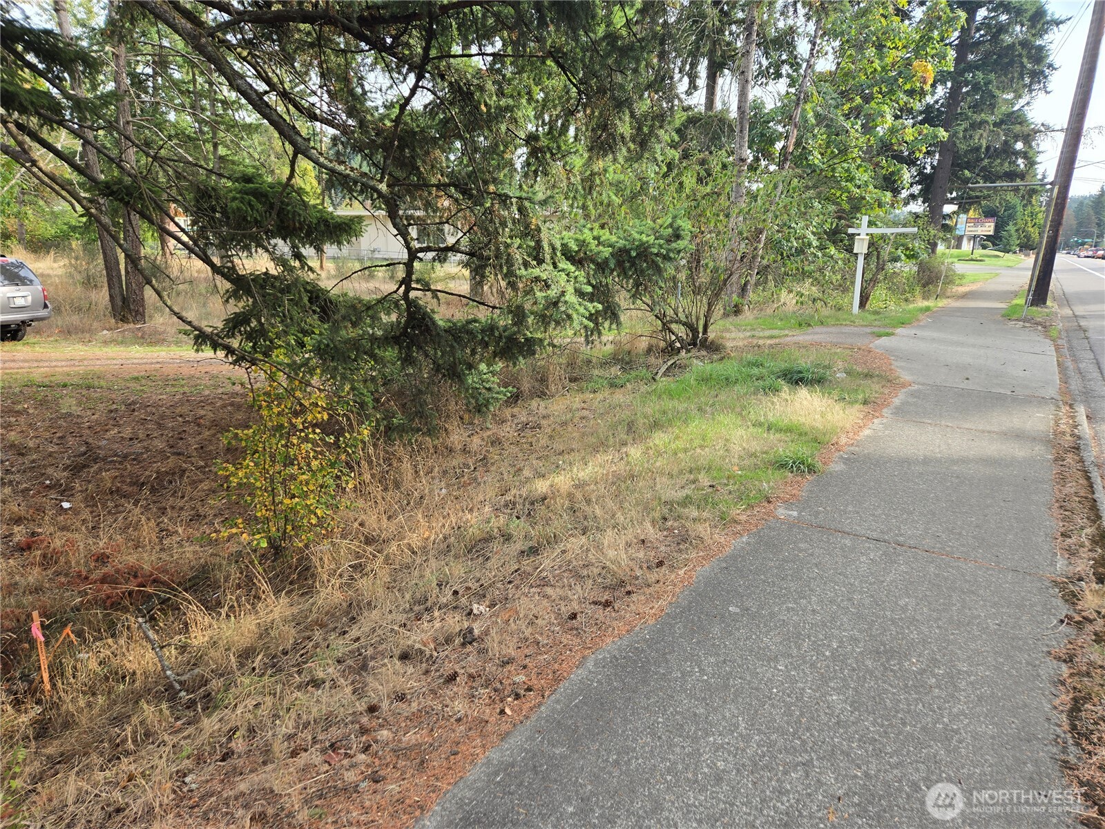 2-xxx R Street Southeast Auburn, WA 98002 - Photo 6 of 21 a view of dirt yard with a tree