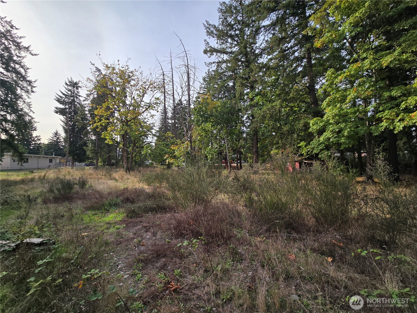 2-xxx R Street Southeast Auburn, WA 98002 - Photo 9 of 21 a view of a lush green forest with lots of trees