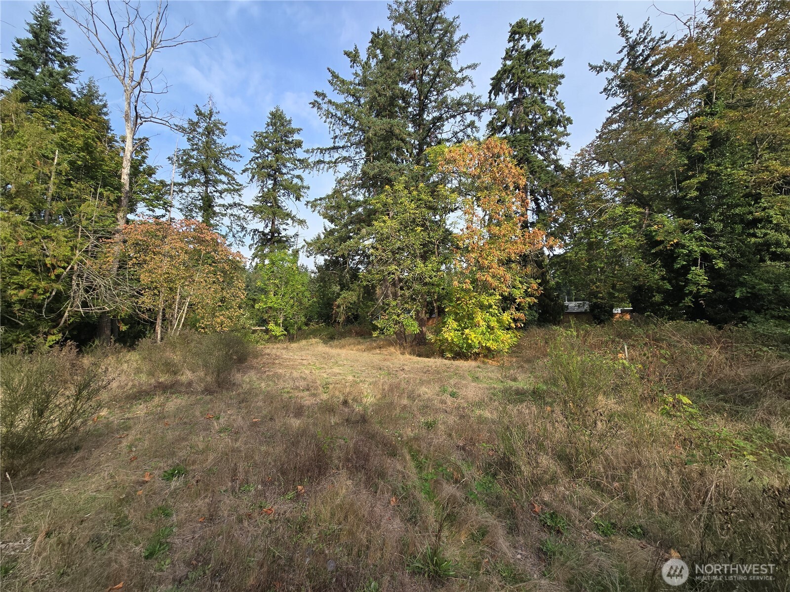 2-xxx R Street Southeast Auburn, WA 98002 - Photo 10 of 21 a view of a yard with a tree