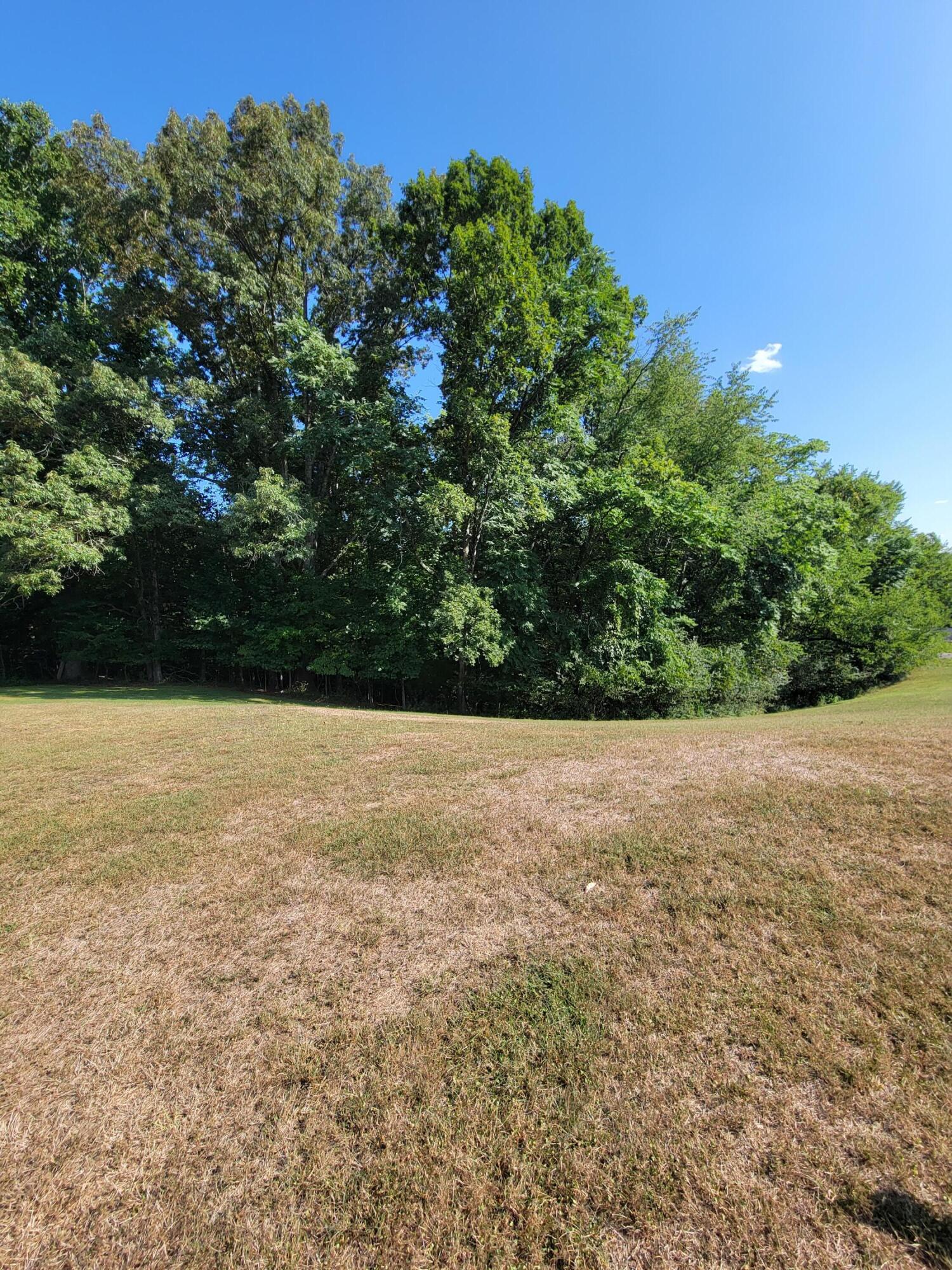 3776 Rutrough Road Southeast Roanoke, VA 24014 - Photo 8 of 12 a view of yard with green space