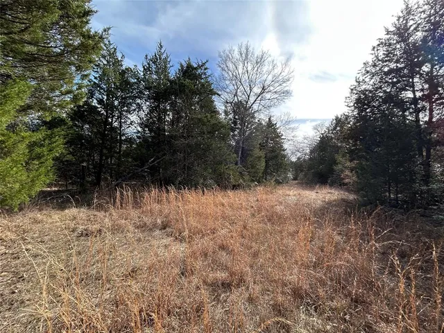 a view of backyard and tree
