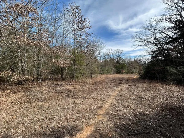 a view of a yard with an trees