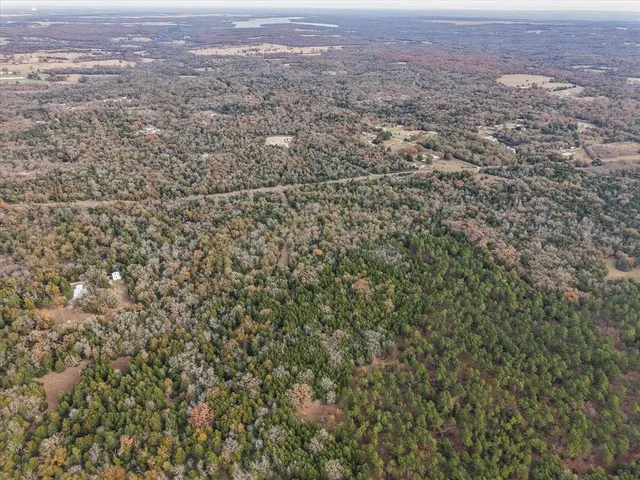 an aerial view of residential houses with city view