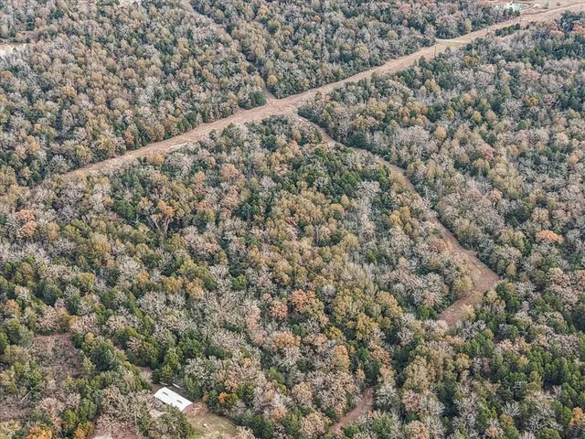 a view of a yard from a city