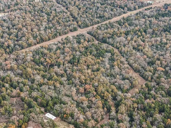 a view of a yard from a city