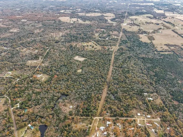 a close up of a plant in a bathroom