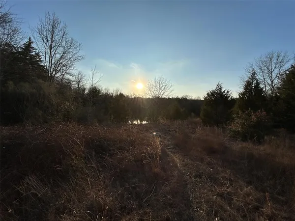 a view of a yard with a tree