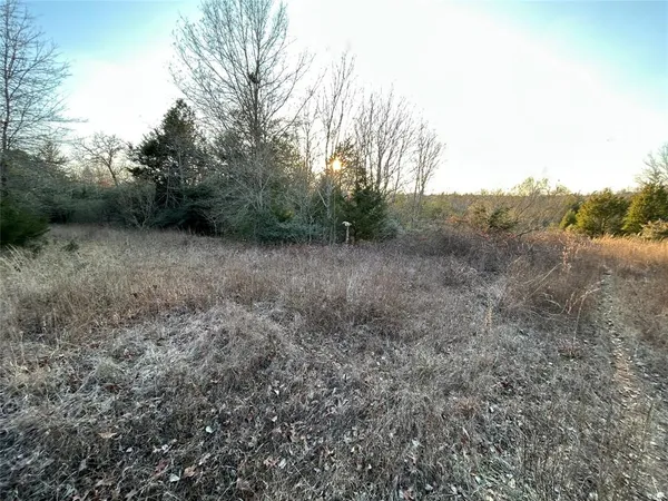 a view of a dry yard with trees