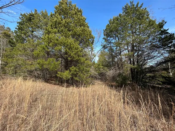 a view of backyard with wooden fence