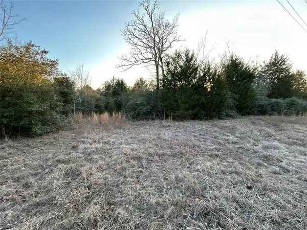 a view of a dry yard with trees