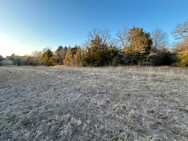 a view of field with trees in background