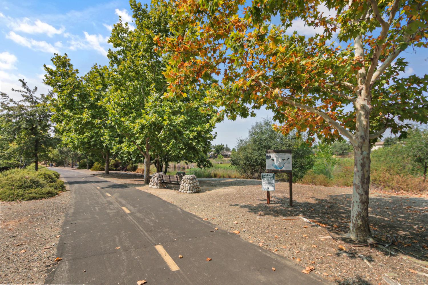 336 Rundgren Way Folsom, CA 95630 - Photo 44 of 52 Gallery Image 44