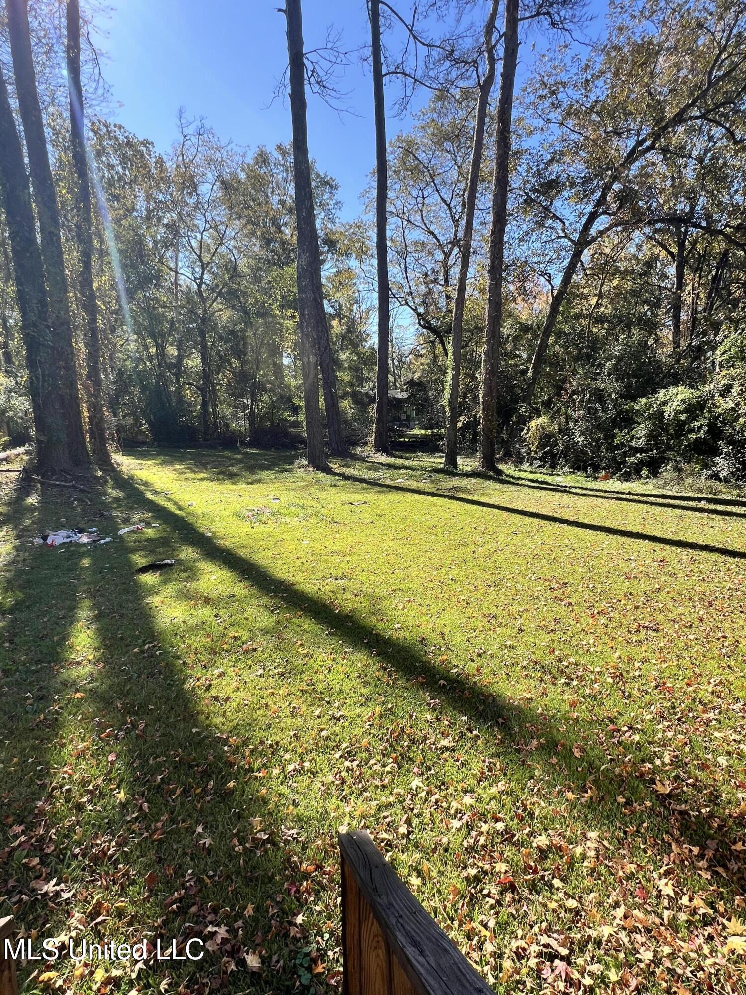301 Cooper Road Jackson, MS 39212 - Photo 15 of 15 Back yard