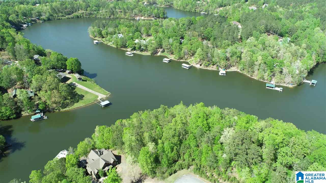 0 Brookwater Way, Unit 6 Wedowee, AL 36278 - Photo 5 of 7