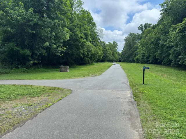 a view of a yard with a trees