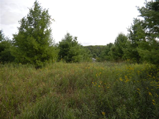 1.5-acre Timber Ridge Road Sturgeon Bay, WI 54235 - Photo 1 of 1 Main View
