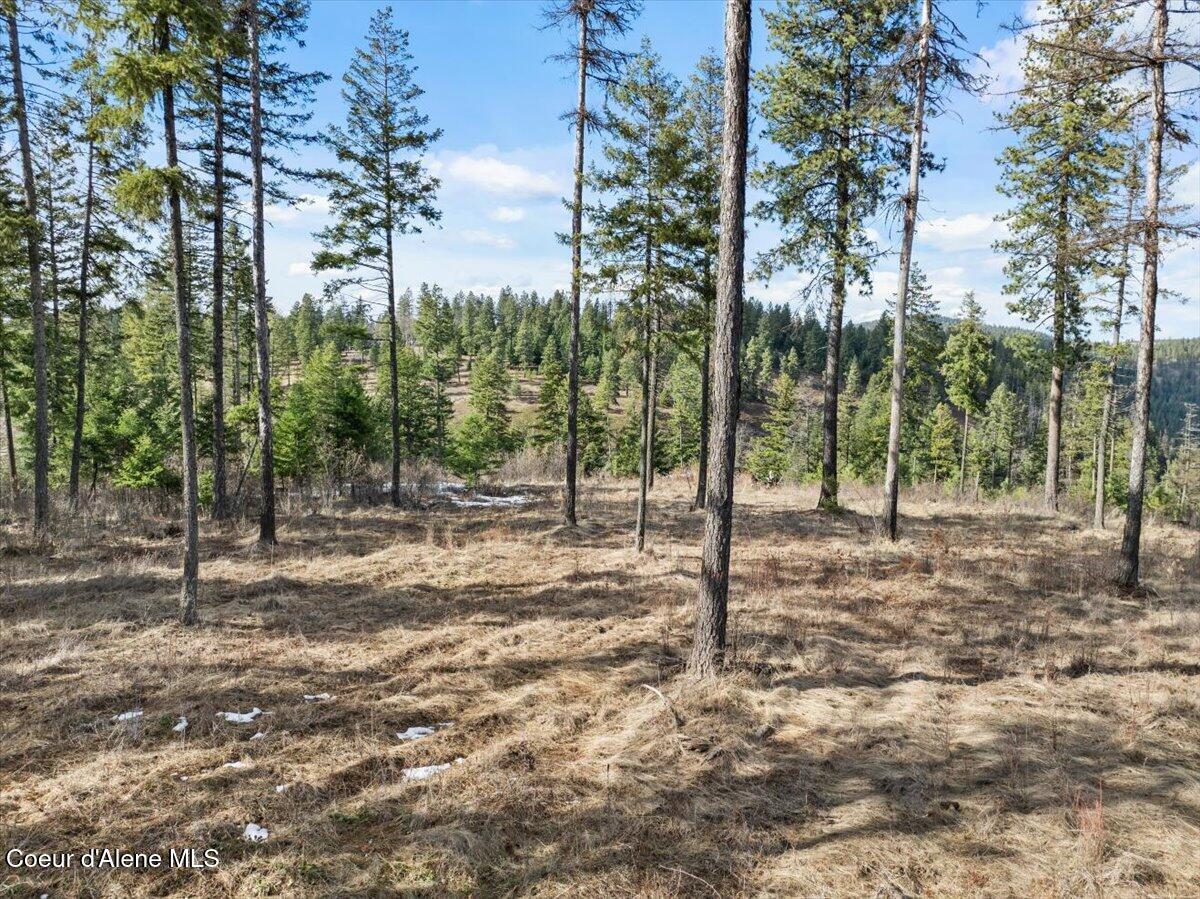 Nka-40-ac West Conkling Road Worley, ID 83876 - Photo 12 of 48 23-W Conkling Rd