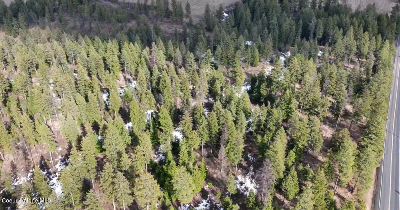 Nka-40-ac West Conkling Road Worley, ID 83876 - Photo 25 of 48 Aerial Timber