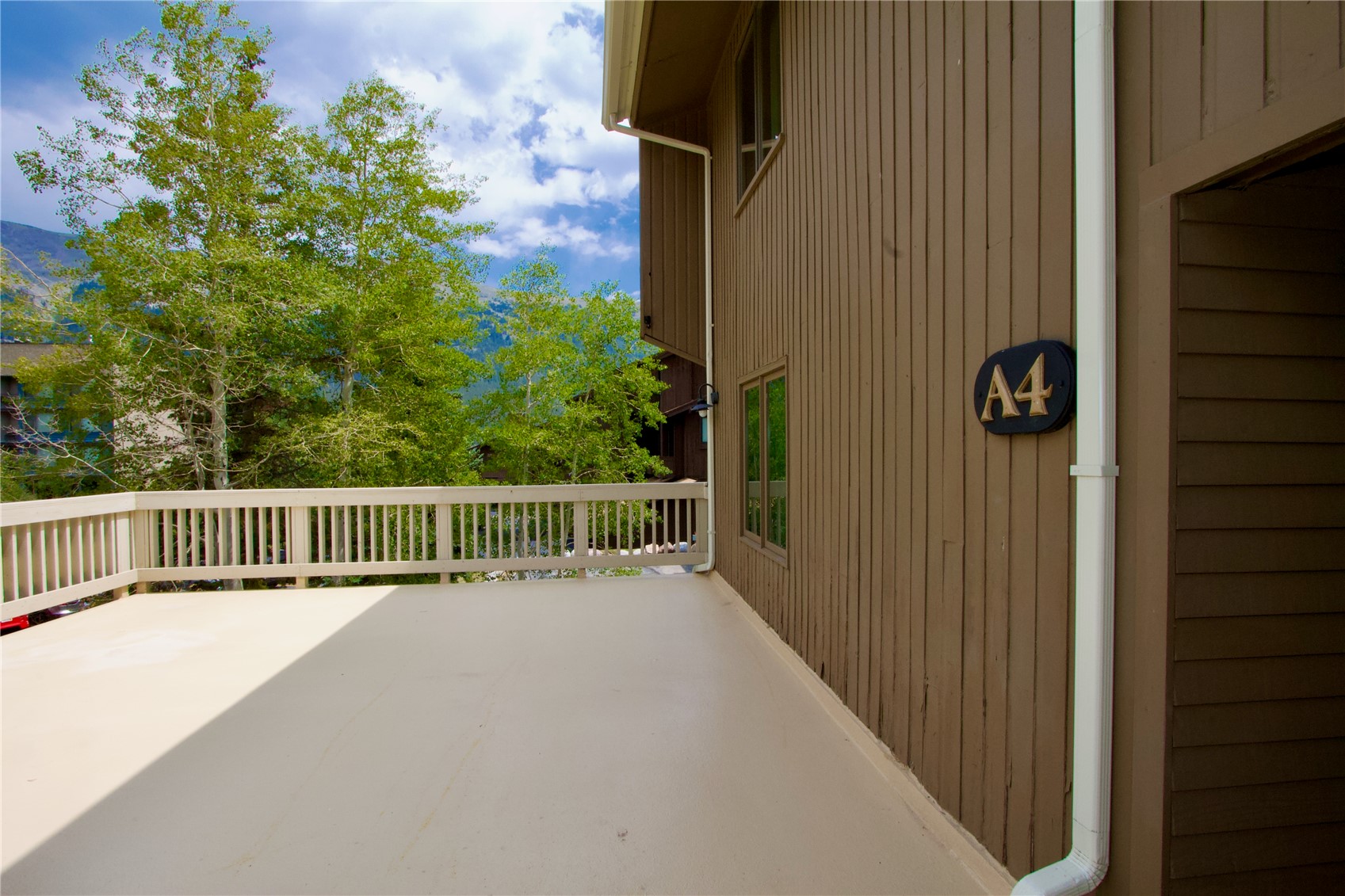 108 Guller Road, Unit A4 Copper Mountain, CO 80443 - Photo 6 of 25 Gallery Image 6