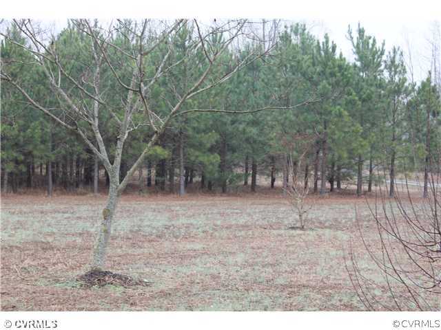 22140 Rowanty Road Carson, VA 23830 - Photo 2 of 19