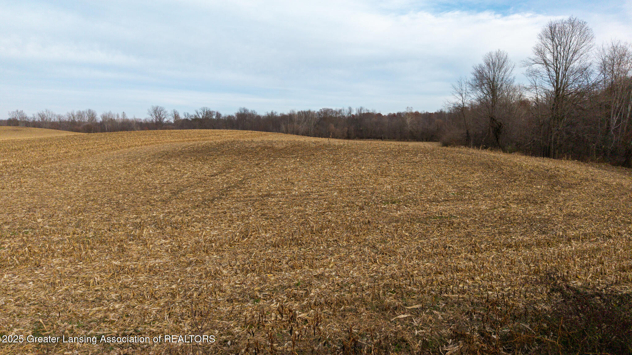 Vl Windsor Highway Dimondale, MI 48821 - Photo 18 of 31 Windsor_Hwy_37_ACRE_BROCK-18