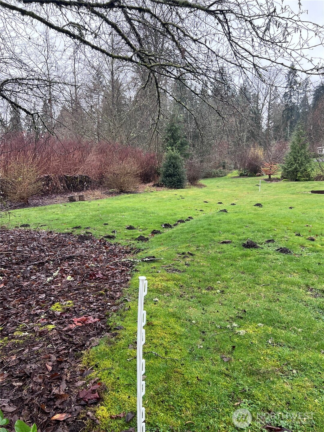 -xx Chain Lake Road Snohomish, WA 98290 - Photo 6 of 6