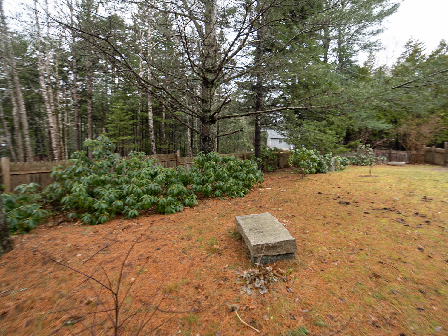 24 Tennis Club Road Northeast Harbor, ME 04662 - Photo 55 of 56 Landscape