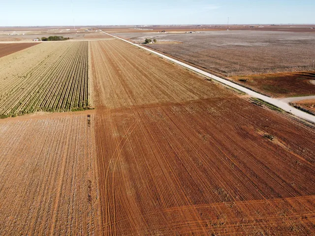 a view of an ocean and beach