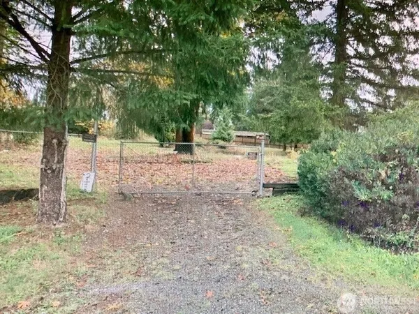 a view of a yard with plants and trees