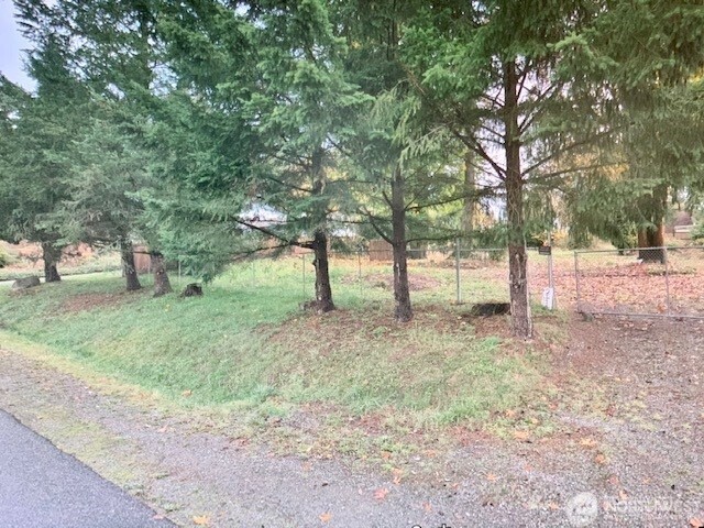 21422 184th Avenue Southeast Renton, WA 98058 - Photo 2 of 4 a view of outdoor space with trees