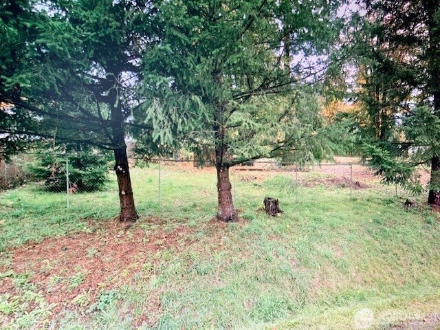 21422 184th Avenue Southeast Renton, WA 98058 - Photo 4 of 4 a view of outdoor space with tree s