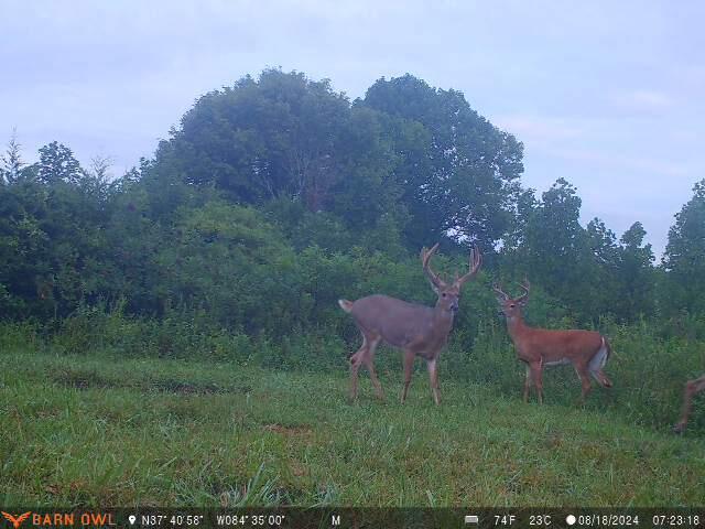 731 Trails End Road Lancaster, KY 40444 - Photo 28 of 47 ebb3dcc7-19d2-46ef-8ffb-a4b5ef0d1fa0